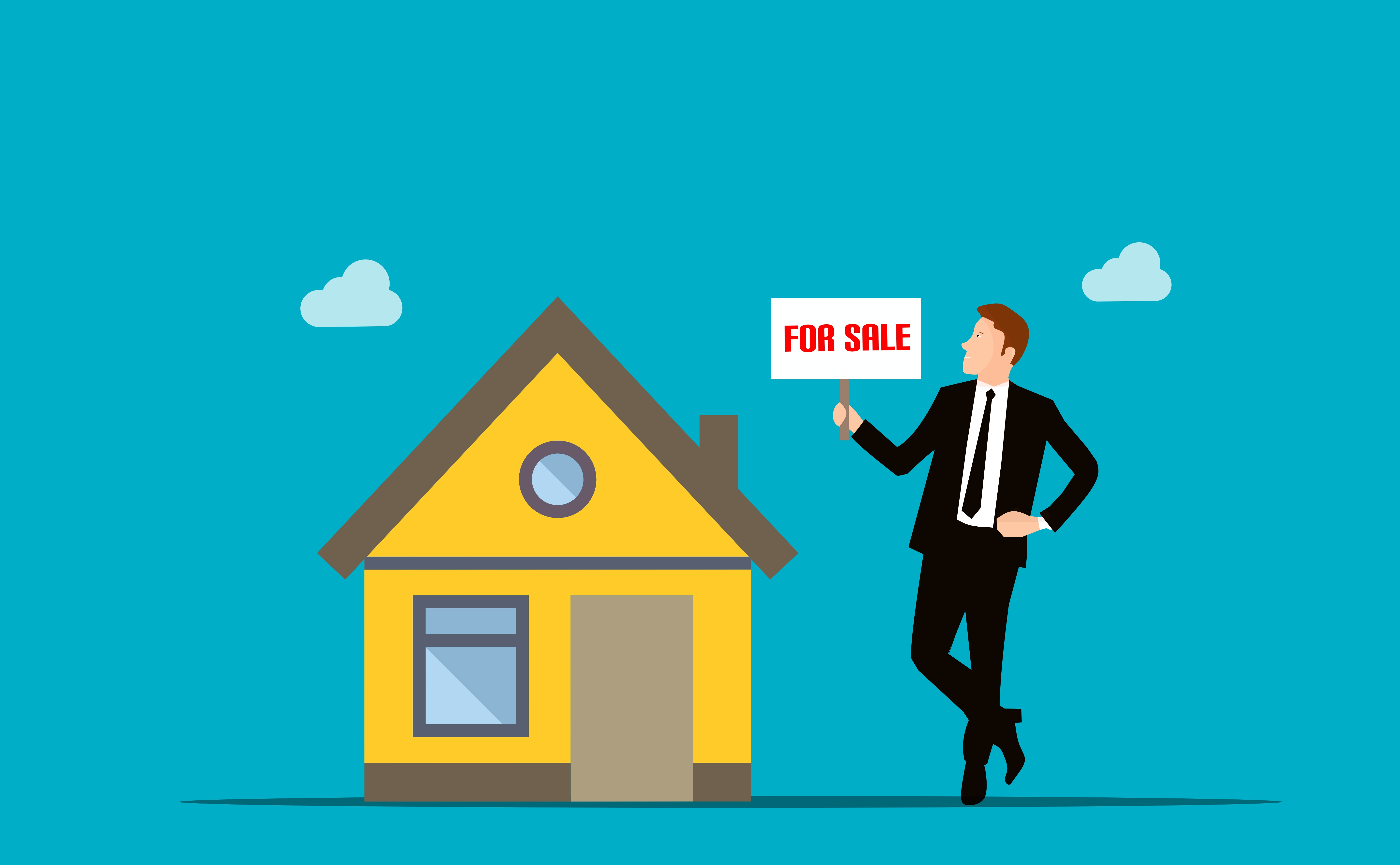 Real Estate Scraping Service