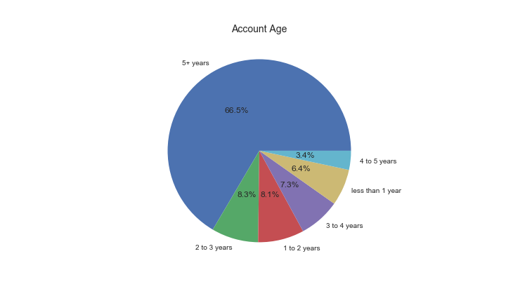 pie chart for Twitter account age